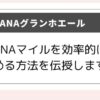 ANAグランホエールにて効率的にANAマイルをためる方法を解説した記事のアイキャッチ画像