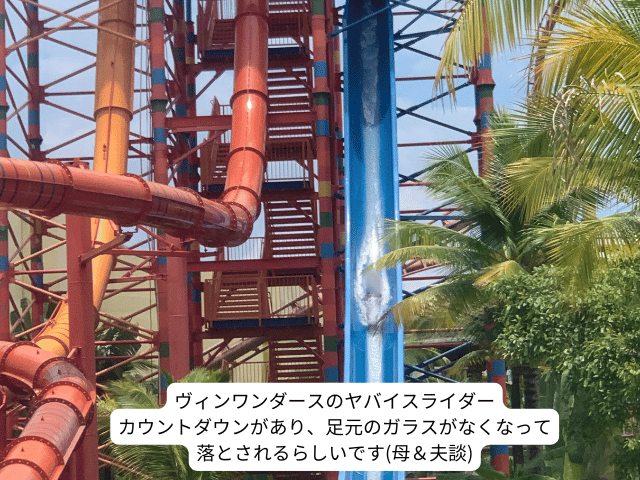 ヴィンワンダースのヤバイスライダー
