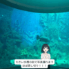 水族館の大水槽