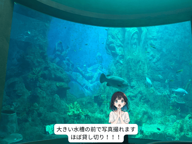 水族館の大水槽