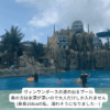 ヴィンワンダースの波が出るプール