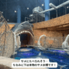 ヴィンワンダースの水族館の展示