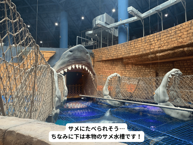 ヴィンワンダースの水族館の展示