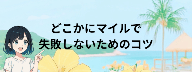 どこかにマイルで失敗しないためのコツのサムネイル